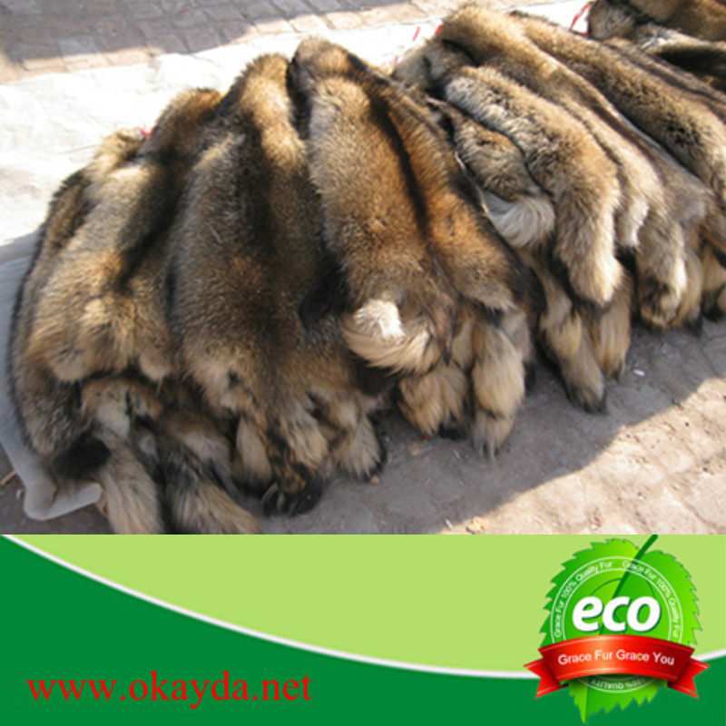 raccoon dog fur