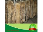 raccoon dog fur