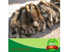 raccoon dog fur