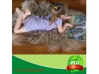 Tibet sheepskin rug TSR-03